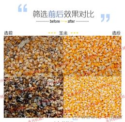 精準(zhǔn)篩選，糧安天下 永興機械鑄就糧食分選新標(biāo)桿